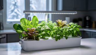 Indoor hydroponic system with leafy green vegetables growing under an LED grow light on a kitchen countertop.